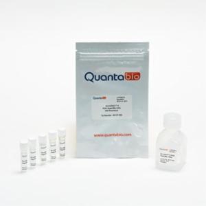 Quantabio ชุดน้ำยาสำเร็จรูปสำหรับเพิ่มปริมาณดีเอ็นเอ ด้วยพีซีอาร์ จำนวน 500 Reaction  95137-500