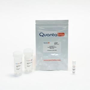 Quantabio ชุดน้ำยาสำเร็จรูปสำหรับเพิ่มปริมาณดีเอ็นเอ ด้วยพีซีอาร์ จำนวน 5000U 95141-05K