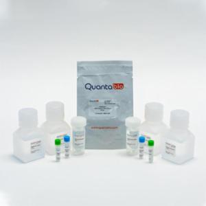 Quantabio Extracta DNA Prep for PCR - Tissue, 250mL 95091-250