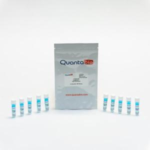 Quantabio ชุดน้ำยาสำเร็จรูปสำหรับเพิ่มปริมาณดีเอ็นเอ ชนิดProbe based ประเภท Fastmix จำนวน 1250 Reaction 95118-012