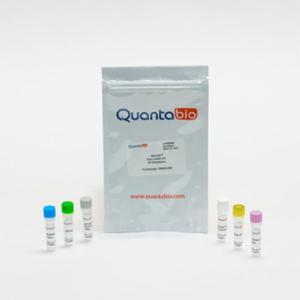 Quantabio ชุดน้ำยาสำหรับสร้างสาย cDNA ปริมาณ 100 reaction  95049-100