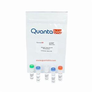 Quantabio ชุดน้ำยาสำหรับสร้างสาย cDNA ปริมาณ 100 reaction 95215-100