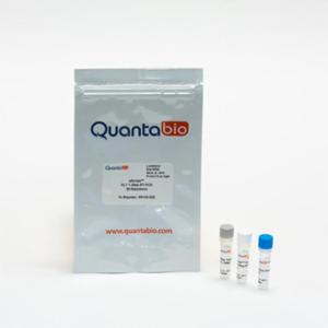 Quantabio ชุดน้ำยาสำเร็จรูปสำหรับเพิ่มปริมาณอาร์เอ็นเอ ชนิดProbe based one-step จำนวน 20 Reaction 95143-020