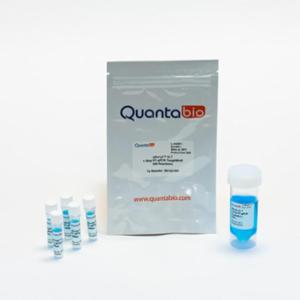 Quantabio ชุดน้ำยาสำเร็จรูปสำหรับเพิ่มปริมาณอาร์เอ็นเอ ชนิดProbe based one-step ROX ประเภท toughmix จำนวน 100 Reaction 95133-100