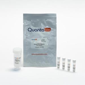 Quantabio ชุดน้ำยาสำเร็จรูปสำหรับเพิ่มปริมาณดีเอ็นเอ ชนิด Multiplex Toughmix จำนวน 250 reaction  95147-250