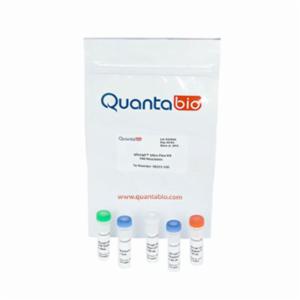 Quantabio ชุดน้ำยาสำหรับสร้างสาย cDNA ปริมาณ 25 reaction 95215-025
