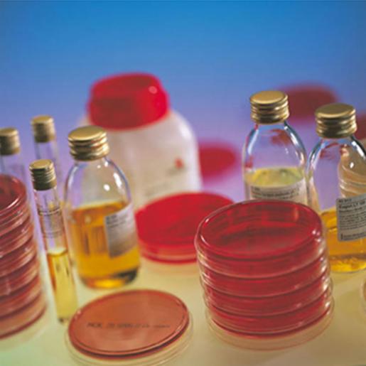 bioMerieux API M MEDIUM 10X5 ML 50120