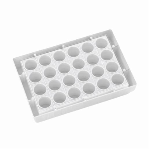 Porvair Sciences 24 Well clear bottom PS microplate White  F bottom assay plate 303002