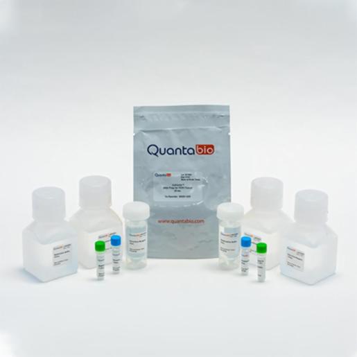 Quantabio Extracta DNA Prep for PCR - Tissue, 25mL 95091-025