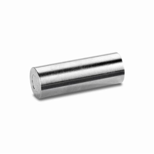 Waters Nova-Pak C18 Guard Column, 60A, 4 µm, 3.9 mm X 20 mm, 2/pk WAT044380