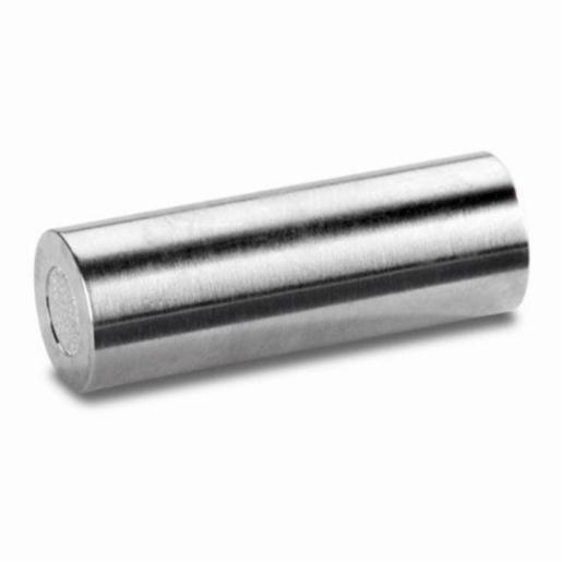 Waters Nova-Pak C18 Guard Column, 60A, 4 µm, 3.9 mm X 20 mm, 2/pk WAT044380